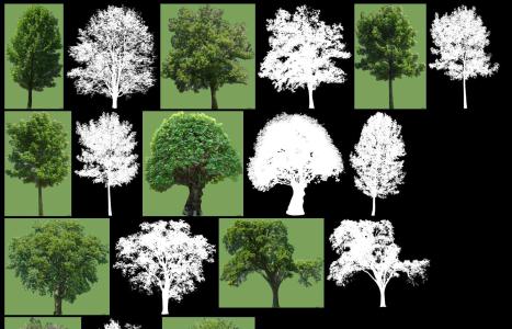 Colección de árboles de 1 JPG - opacidad