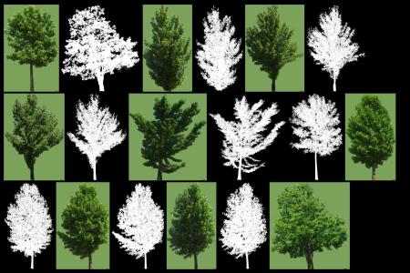 Collection d'arbres 2 jpg - opacité