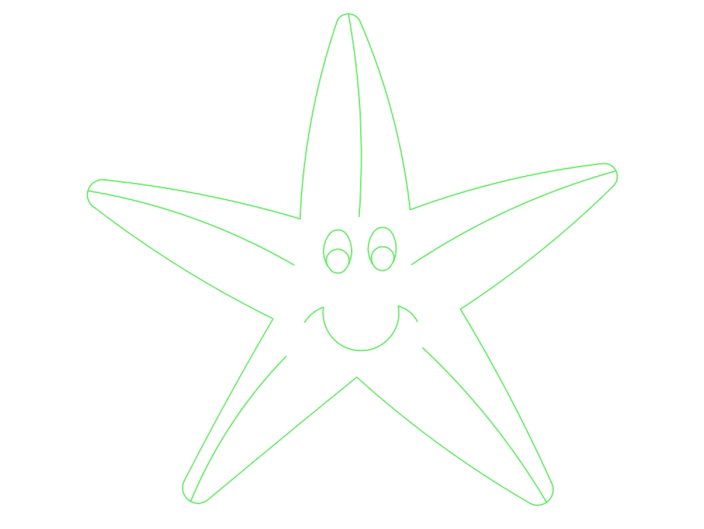 Estrella de mar - starfish