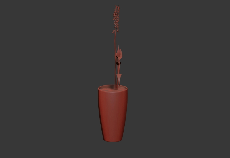 Plantes ornementales 3D