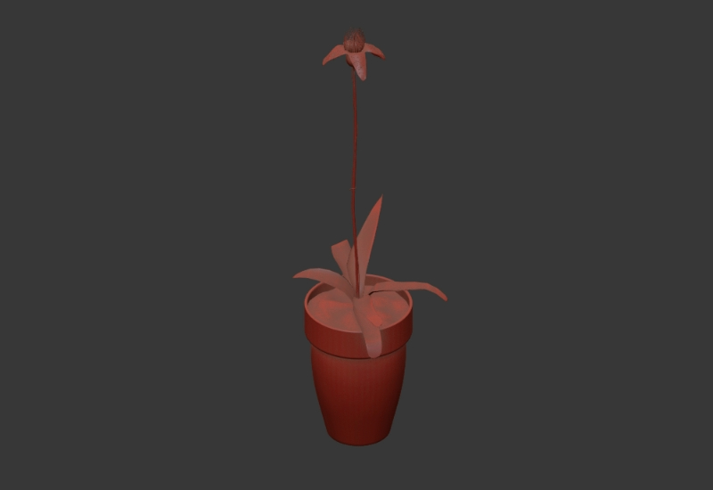 3D-Zierpflanzen