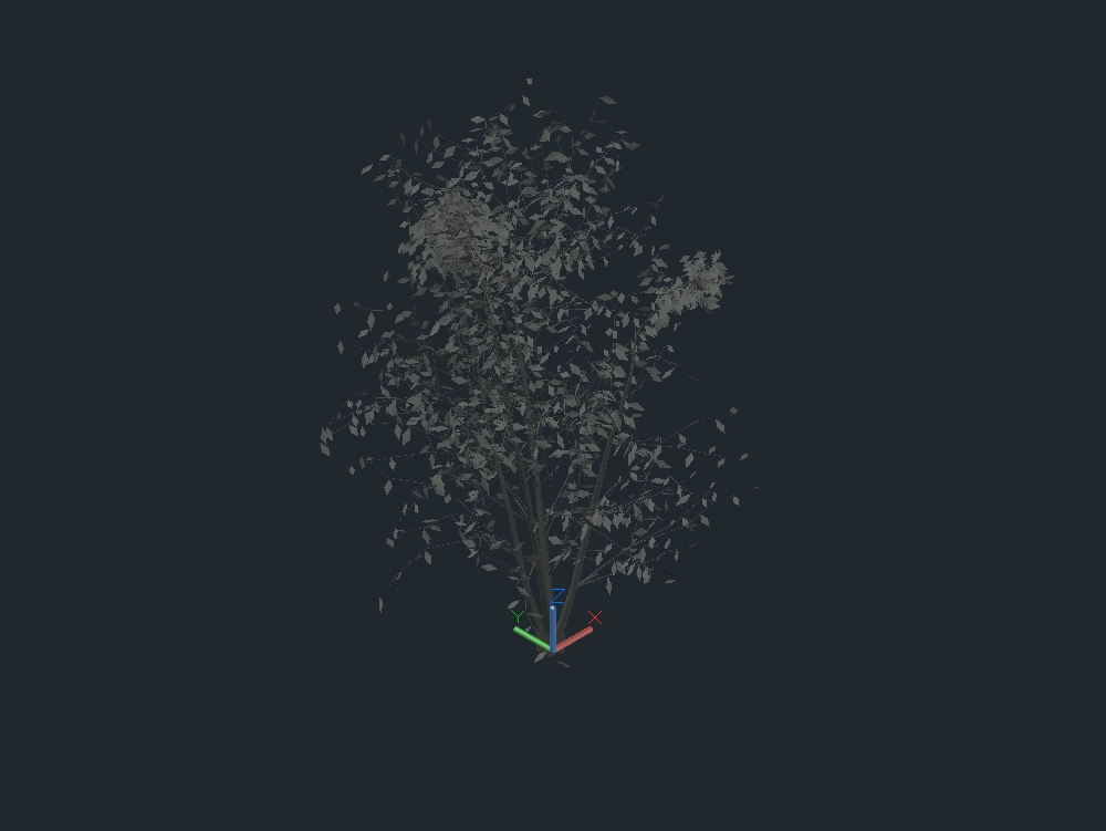 Shrub