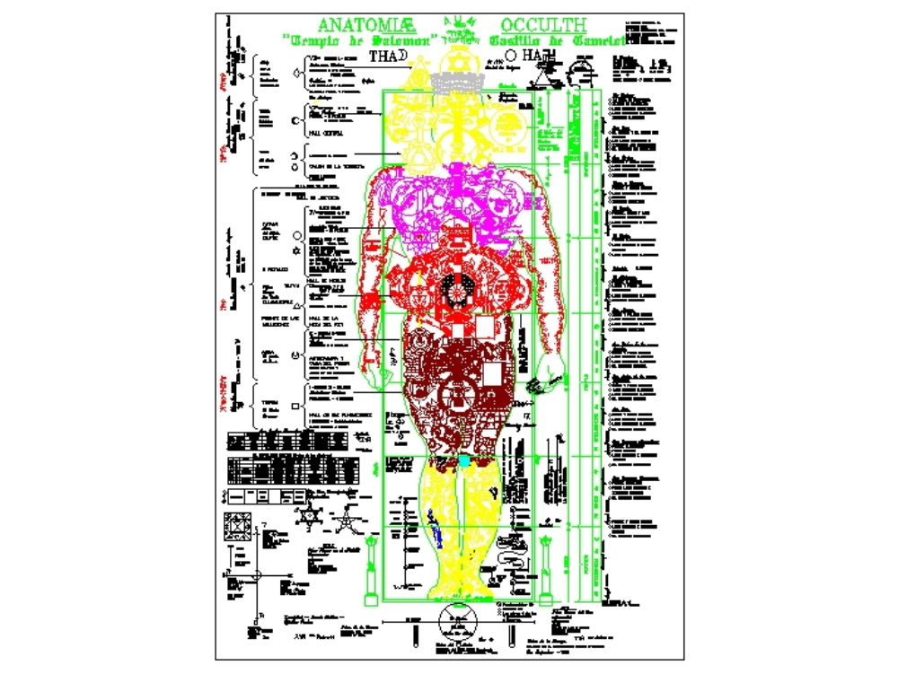 Occult anatomy of gnosis.
