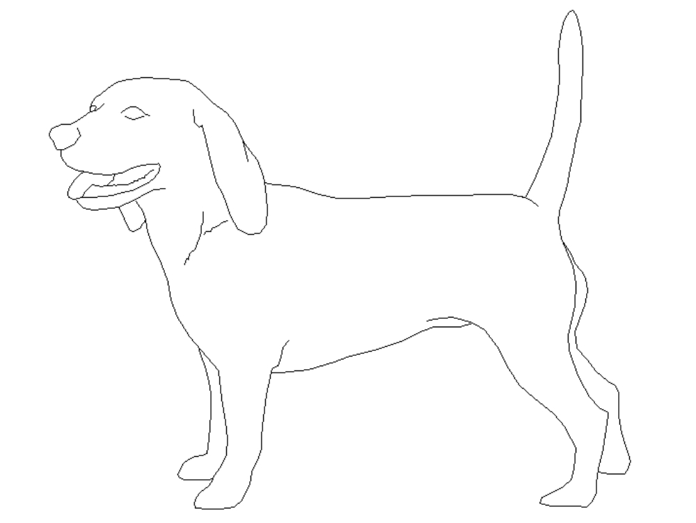 Beagle-Hund.