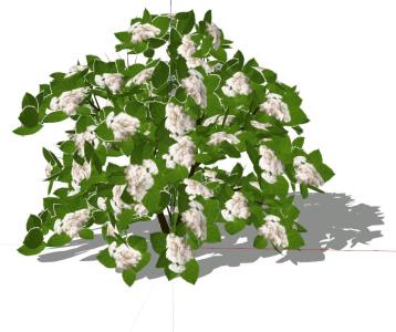 Flores brancas em 3D