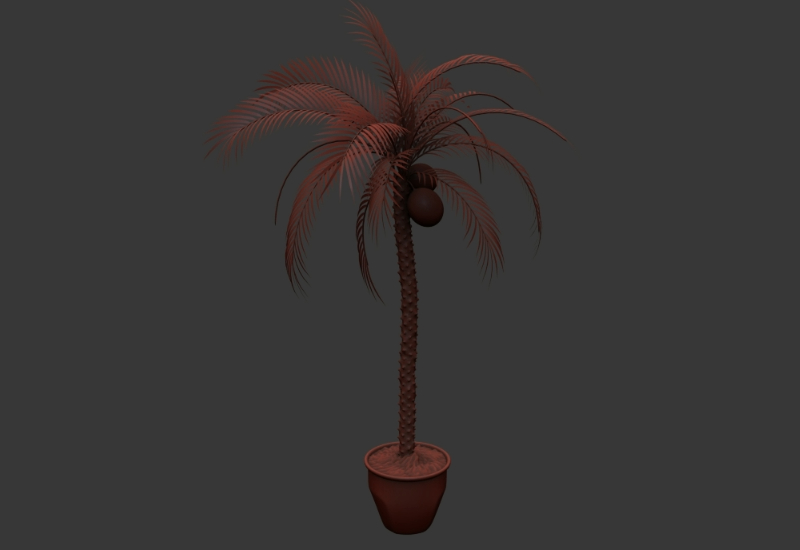 Palma de arbusto 3d