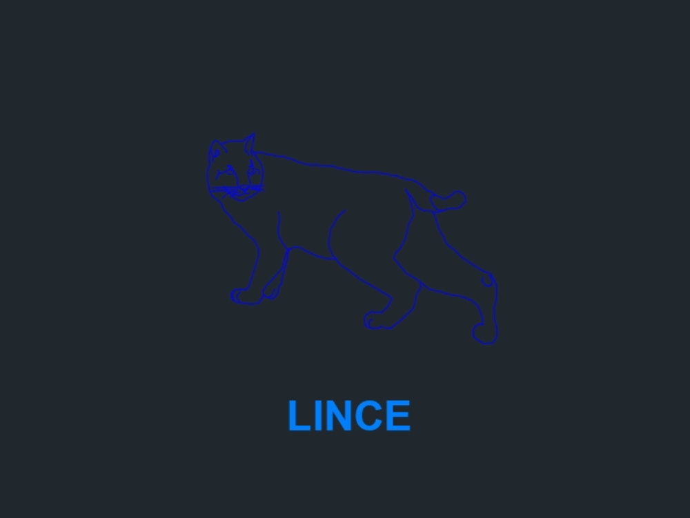 drawing of a lynx