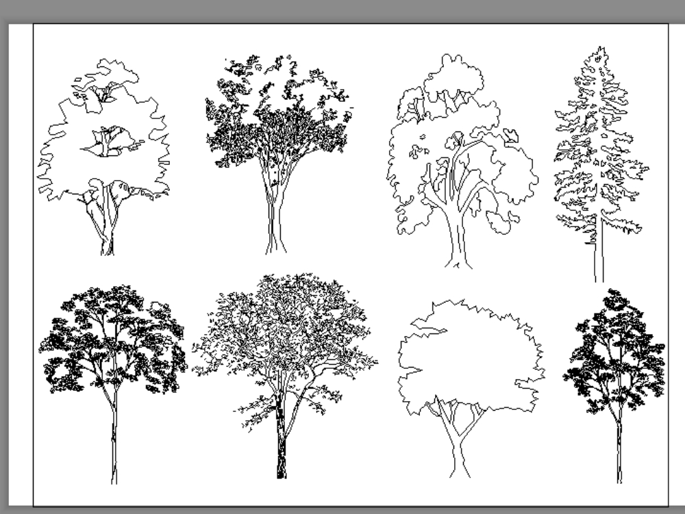 Hand drawn trees and shrubs black and white elevation | Tree sketches,  Landscape architecture drawing, Tree drawing