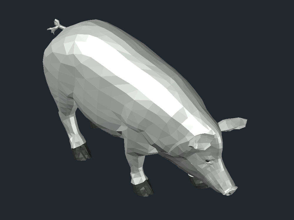 3D pig