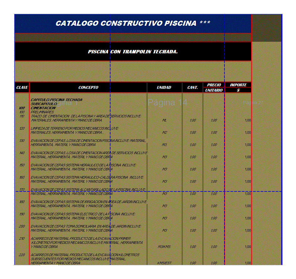 CATALOGO CONSTRUCTIVO DE UNA PISCINA TECHADA