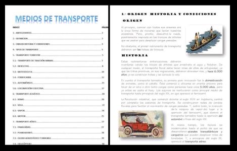 Transportation report