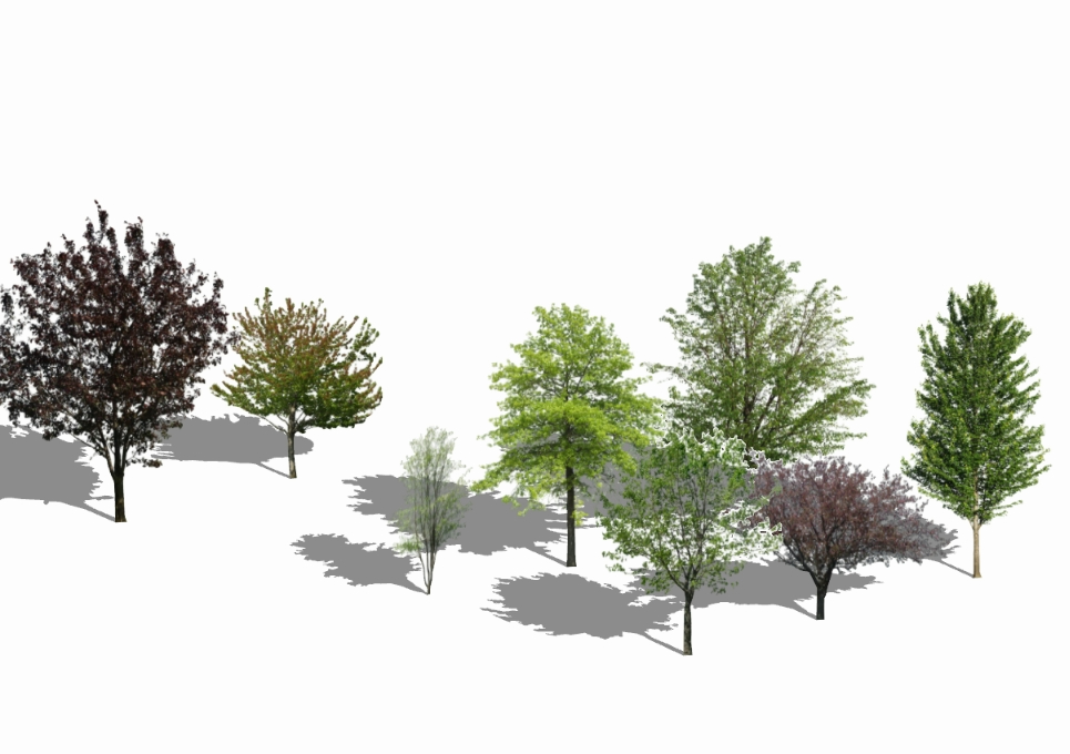 Árvores 3D