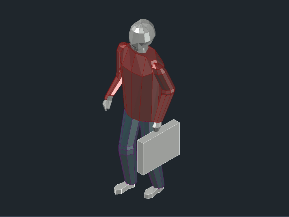 person with briefcase