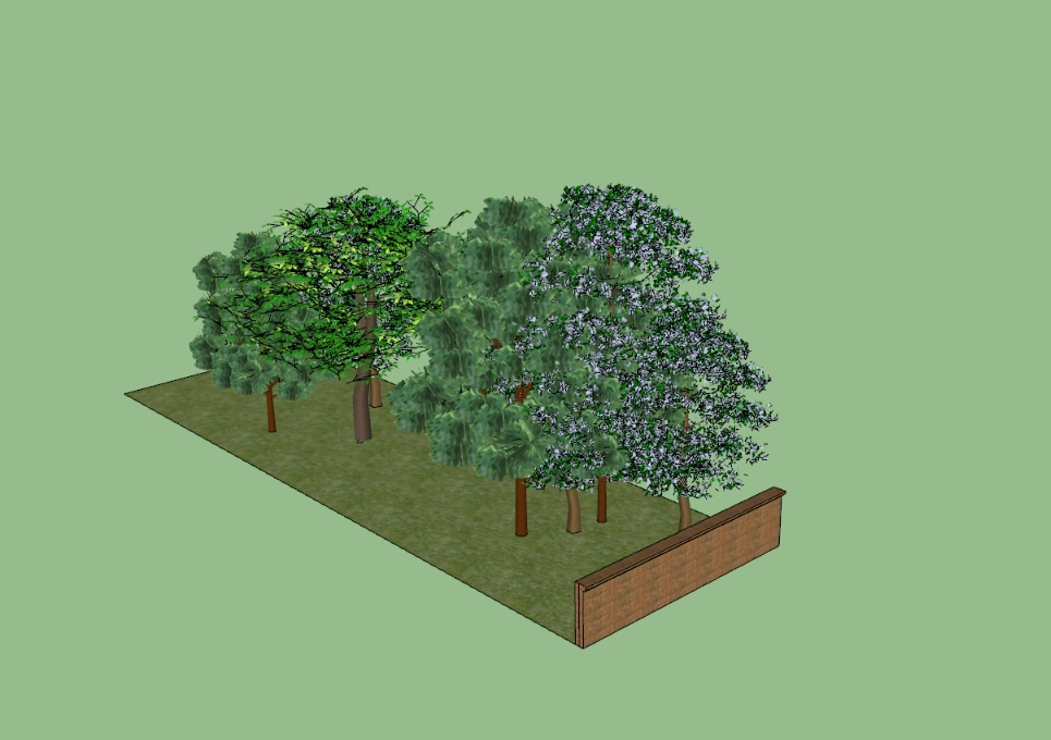 Reforestación con Arboles
