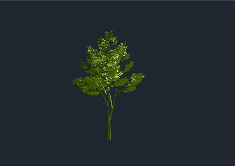 tree