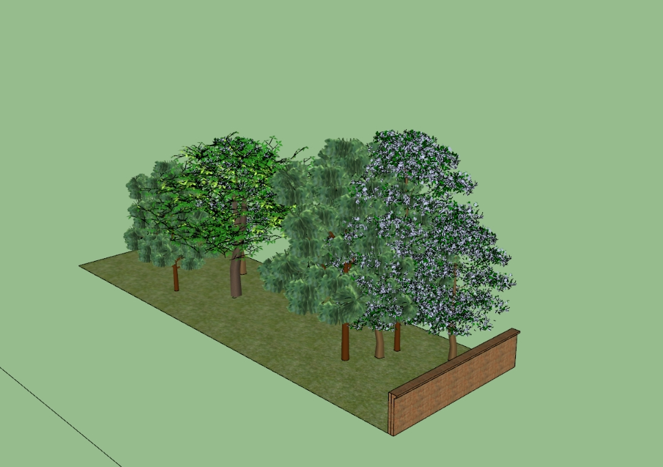 Árvores 3D