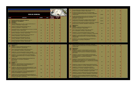 Catalogoconstructivo pista de patinetas