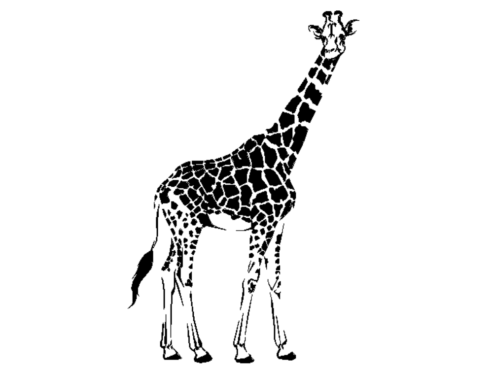 girafa fêmea.