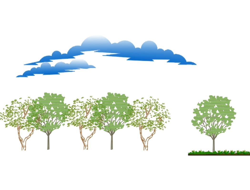 verschiedene Bäume und Wolken