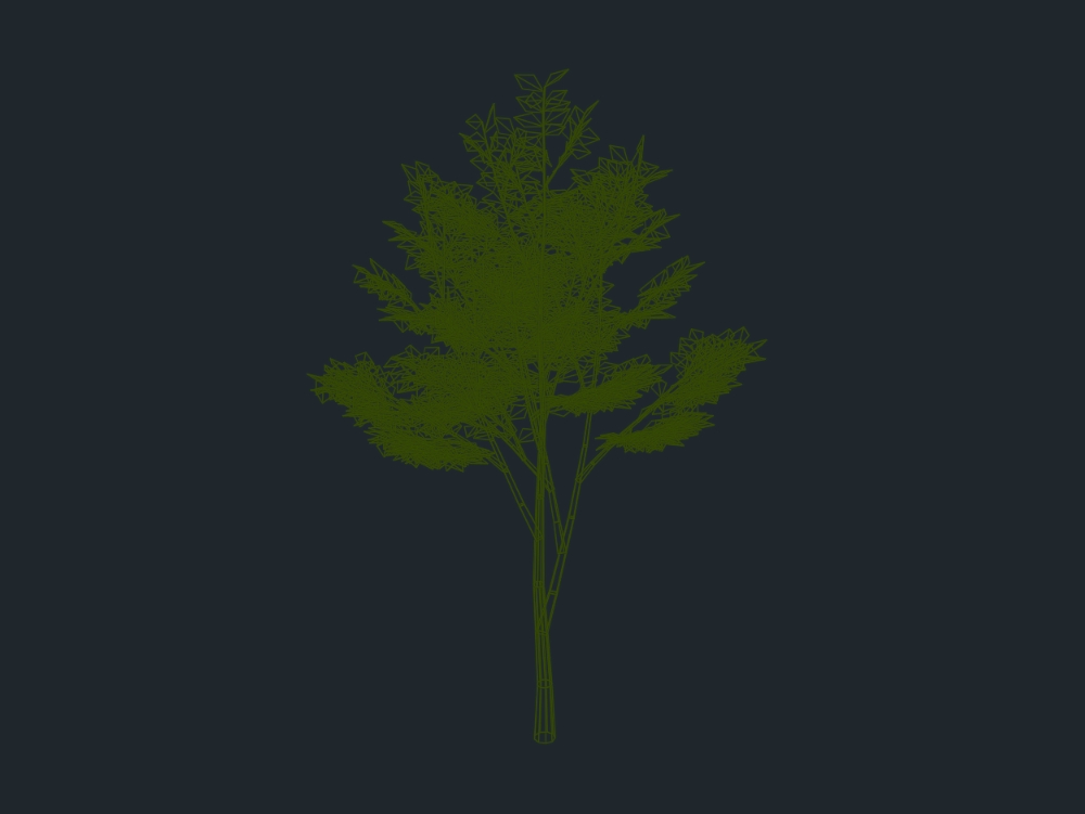 arbre 3d