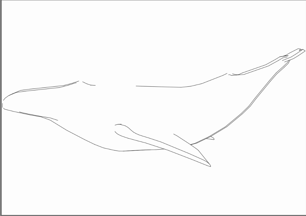 2d whale
