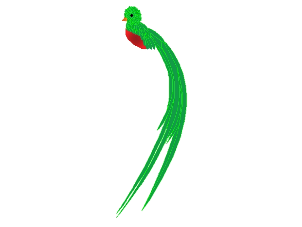 Quetzal-Vogel.