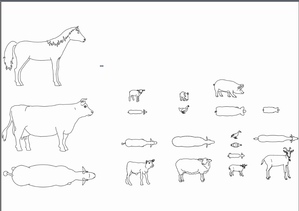 animals 2D