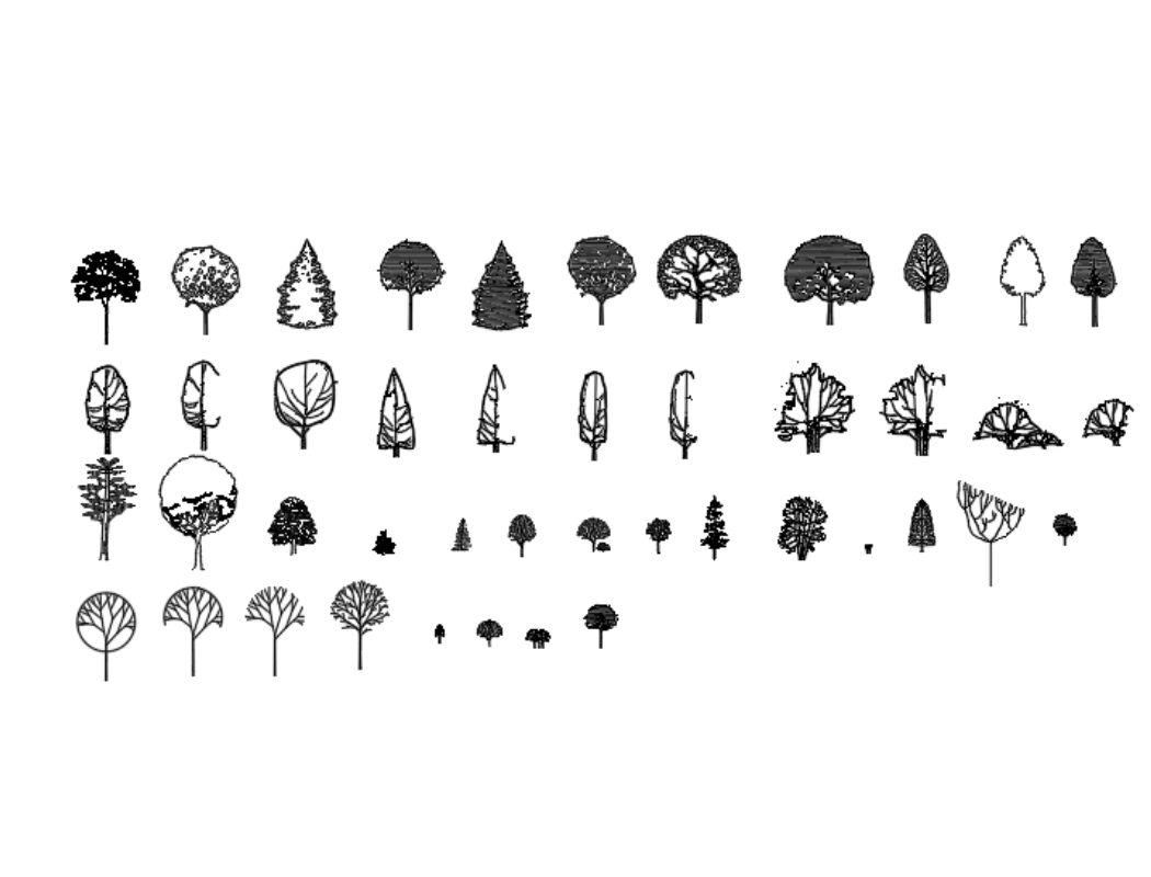 Des arbres