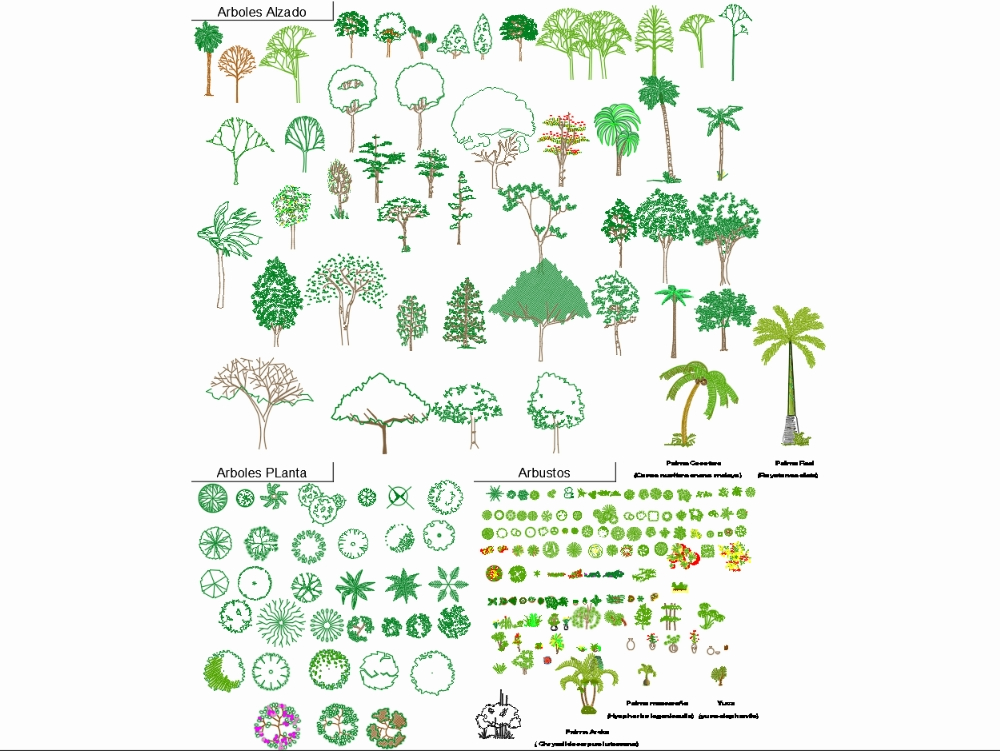 types d'arbres