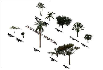 Tropische Bäume 3d