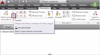 Autocad: parallel parameter