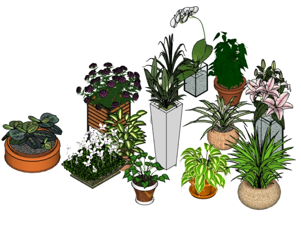3D Pflanzen