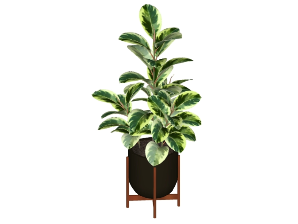 Textured indoor decorative plants