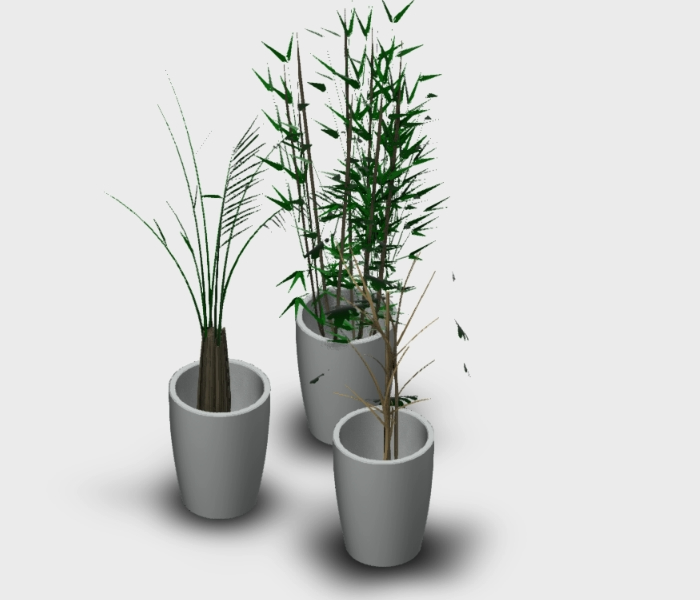 Flowerpot with three different types of plants