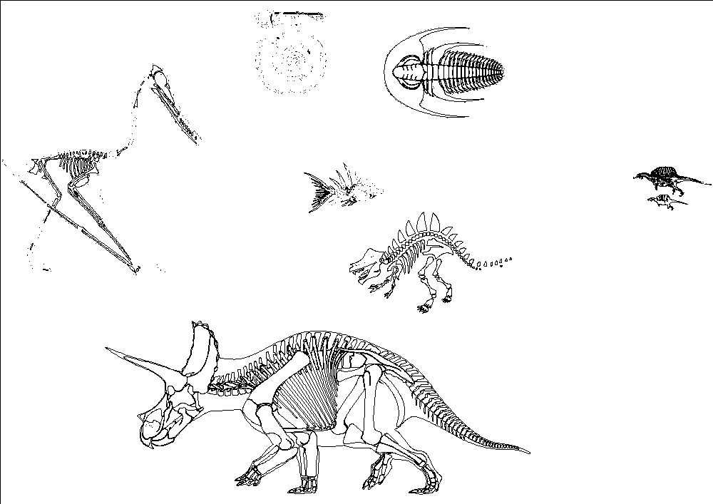 Dinosaurierfossilien