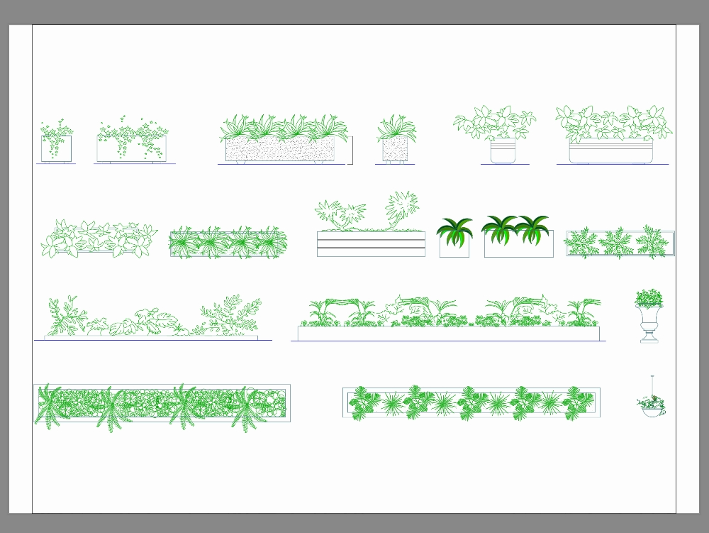 Macetas y plantas