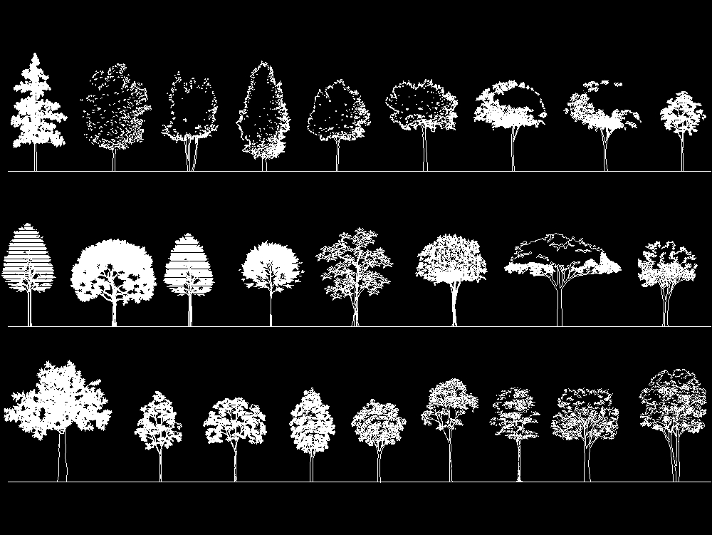 Modèles d'arbres en vue