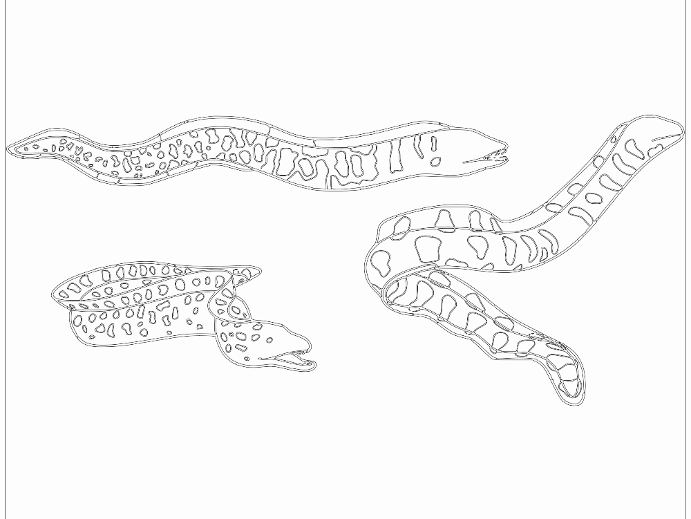 Anguila