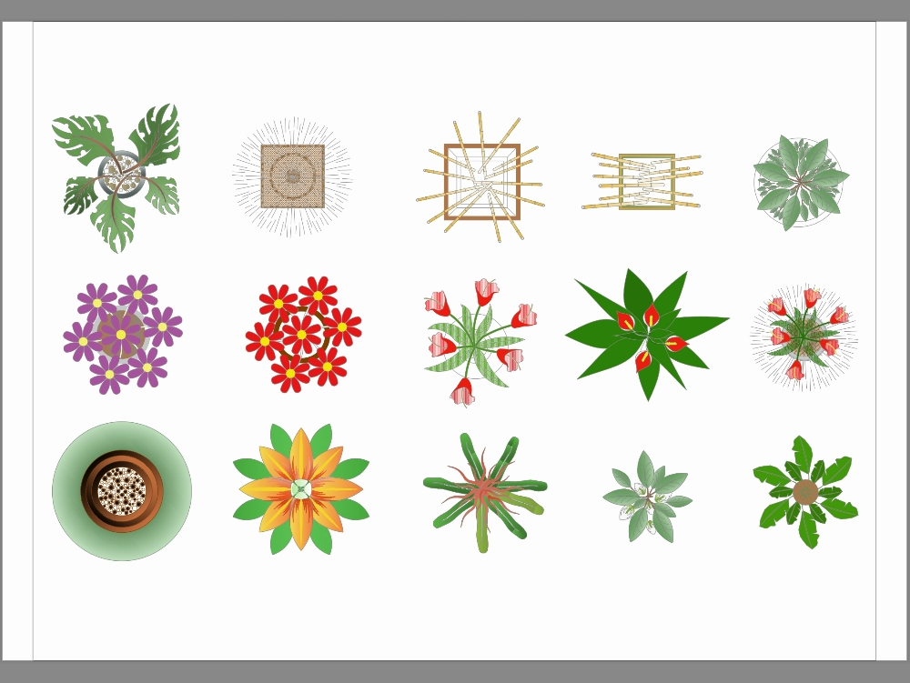 Plants and flowers