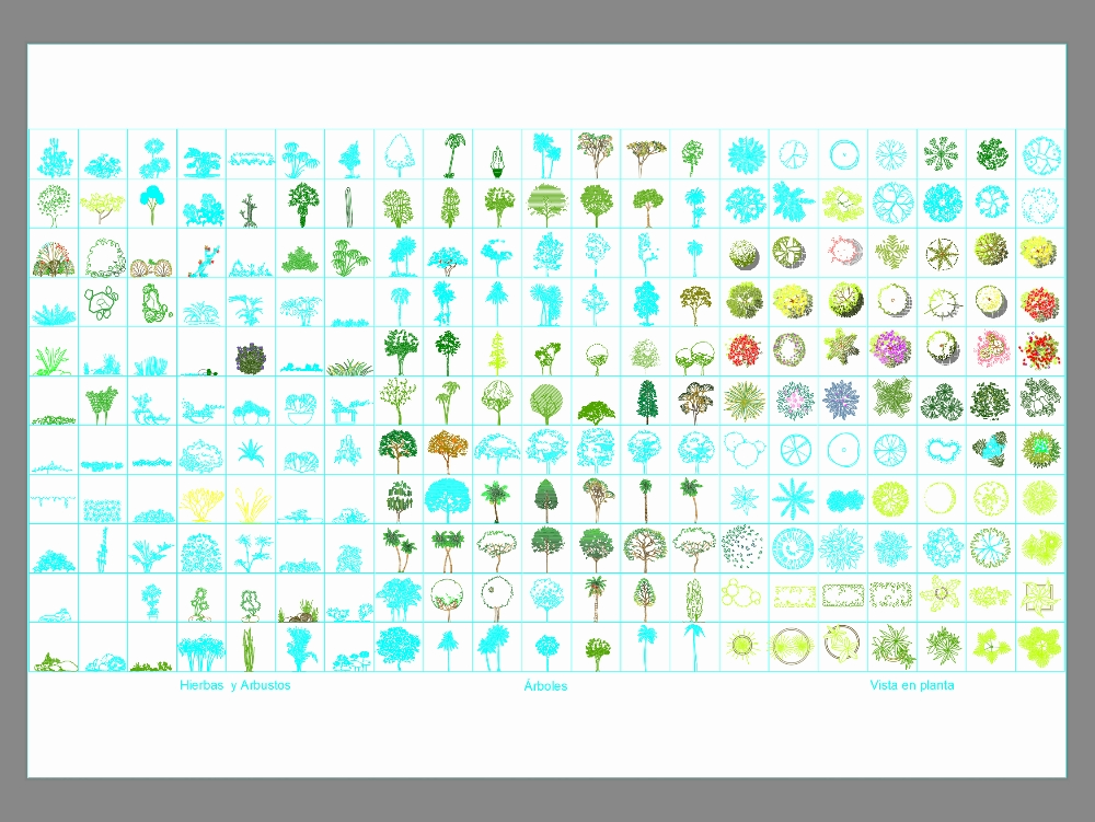 Trees, plants, bushes.