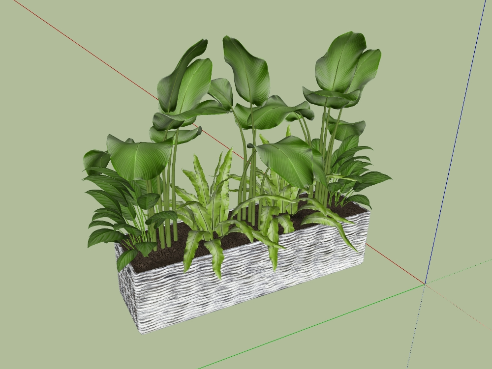 Planta decorativa para balcón y terrazas