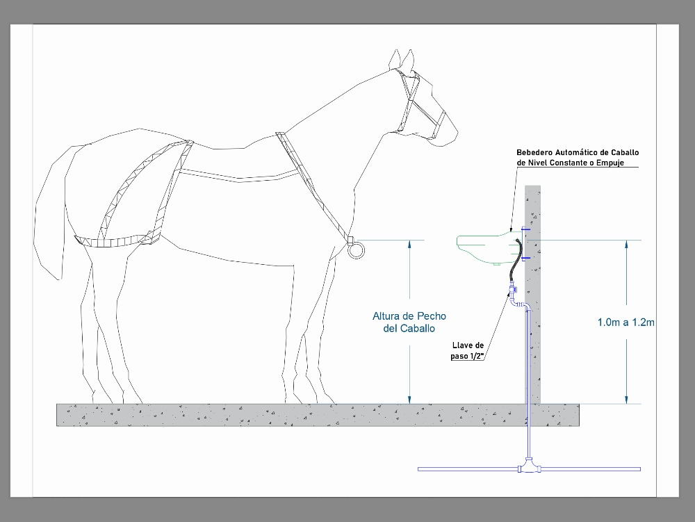 Abreuvoir pour pâturage de chevaux
