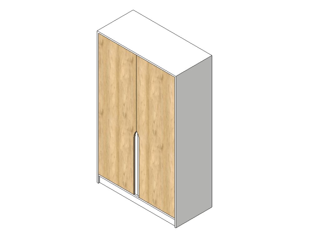 Modern two-door closet