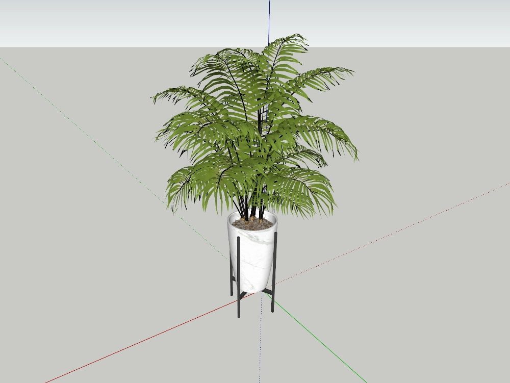 Dekorative Zimmerpflanze