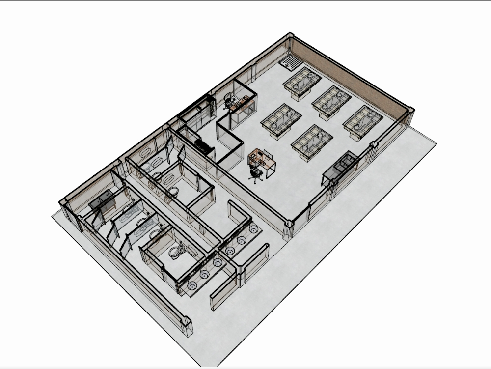 School bathroom with laboratory