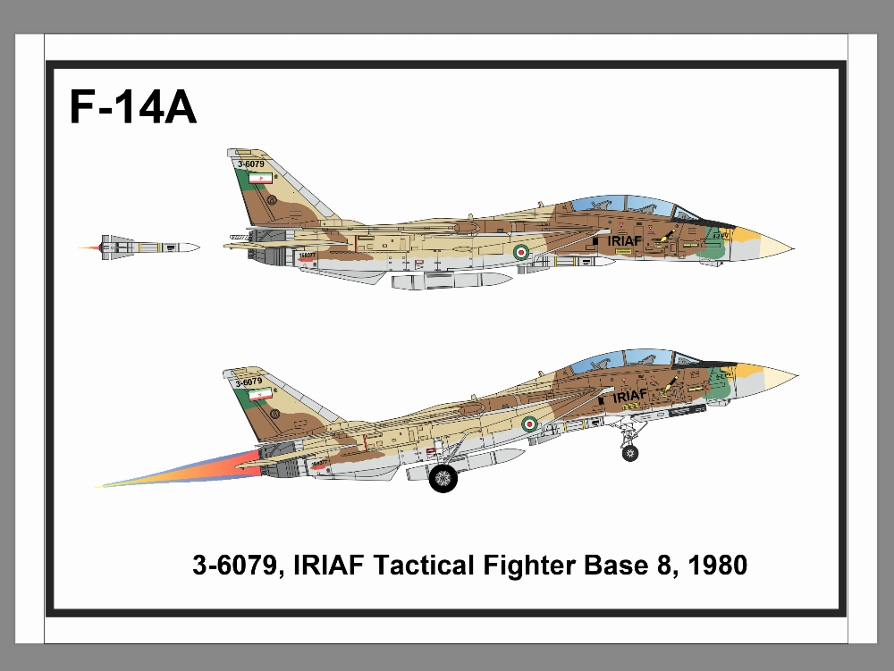 caça militar F-14